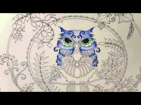 Enchanted Forest Coloring Book Owl Part 1 - YouTube Enchanted Forest Coloring Book Owl Part 1 - YouTube