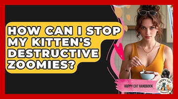 How Can I Stop My Kitten