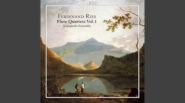 Flute Quartet in D Minor, WoO 35 No. 1: IV. Finale. Allegro molto