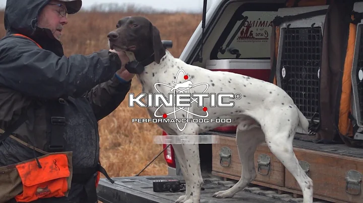 Kinetic Performance Dog Food - Fueling the Working and Sporting Dog