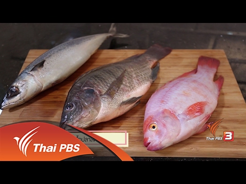 สุดยอดแม่บ้าน : การเลือกซื้อปลาสด (20 ก.พ. 60)