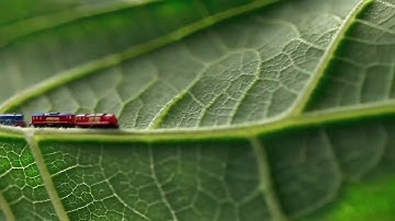 Macro shot of a leaf - OpenAI Sora AI Video Example With Prompt