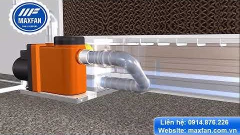 Mô hình làm mát trại heo bằng quạt hút công nghiệp và tấm làm mát cooling pad