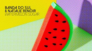 Video thumbnail of "Watermelon Sugar - Harry Styles X Banda Do Sul"