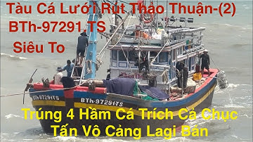 Tàu Cá Lưới Rút Siêu To-Thảo Thuận (2)-BTh-97291.TS-Trúng 4 Hầm Cá Trích.Cả Chục Tấn Vô Cảng Lagi 