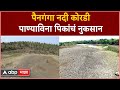 Hingoli Painganga River News : पैनगंगा नदी कोरडी; पाण्याविना पिकांचं नुकसान ABP Majha