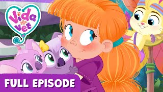 Vida’s Happy Vet Day @VidaTheVet Full Episode  Animal Cartoons for Kids #learning  #Animals