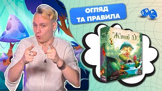 Настольная игра Живой Лес | Лучшая семейная игра 2022 года #GRA