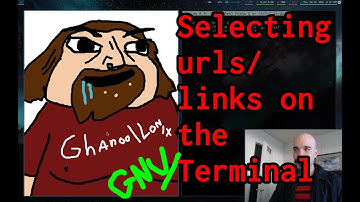 Selecting terminal URLs with URLview