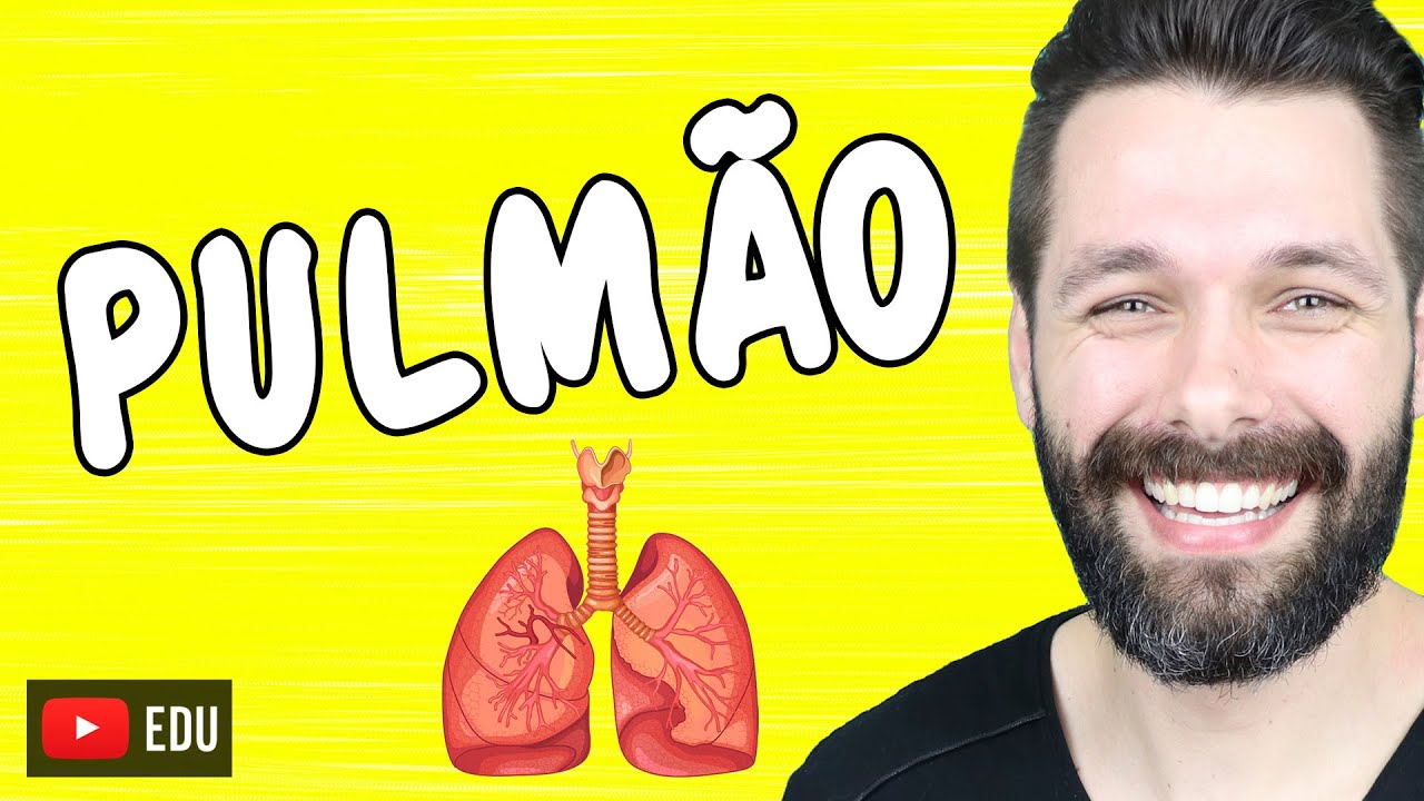 PULMÕES - Anatomia e Função - Sistema respiratório | Biologia com Samuel Cunha