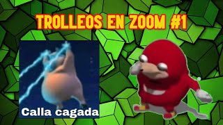 Marcelo agachate y conocelo y calla cagada en zoom| TROLLEOS EN ZOOM #1| CDER16|