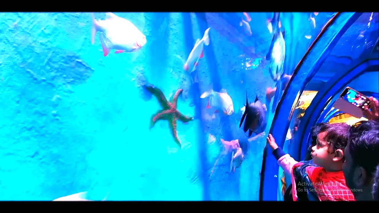 Tunnel Aquarium Tour Under Water Aquarium Coimbatore 2019 Year End