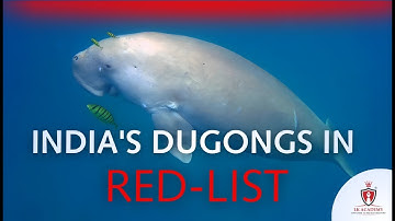 India’s Dugongs Added to IUCN Red List | Threats, Conservation & Current Affairs Explained