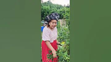 Gan Khiang Juan Khng La Bam Tuang E 