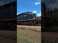 MRS - Minério carregado prefixo NEH 1160 parado na linha 1 do Pátio do P1-08.