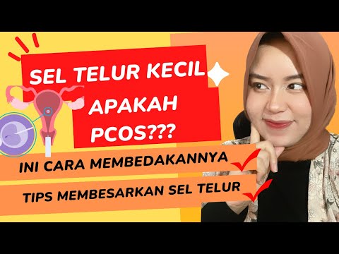 Video: Mengapa sel harus kecil?