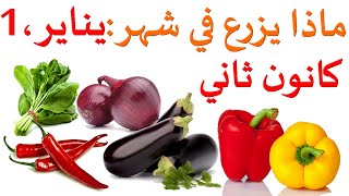 مادا يزرع في شهر يناير 1 (كانون-الثاني )