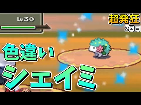 神回 確率を超えて ２回目の色違いシェイミが爆誕し超発狂する男 ポケモンptプラチナ Shiny Shaymin Youtube