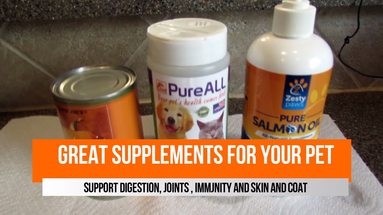 salmon oil vs fish oil Top Supplements for your Pets