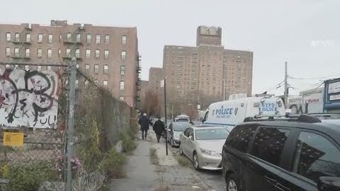3 people, including boy, 5, ID'd by police after being stabbed to death in the Bronx: NYPD