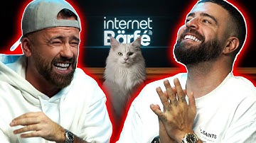 Cum ne manipuleaza pisicile? - INTERNET BARFE