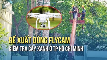 Đề xuất dùng flycam kiểm tra cây xanh ở TP Hồ Chí Minh | VTV24