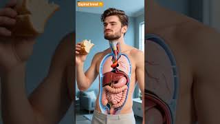 eating expired bread might contain bacteria #animation #shortsfeed #youtubeshorts #health #animation