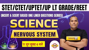 CTET/UPTET Science Classes | Super TET/LT Grade Science | Science Nervous System by Adarsh Sir