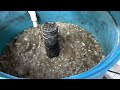 Diy koi pond update  3barrel filter cleaning after 4 weeks
