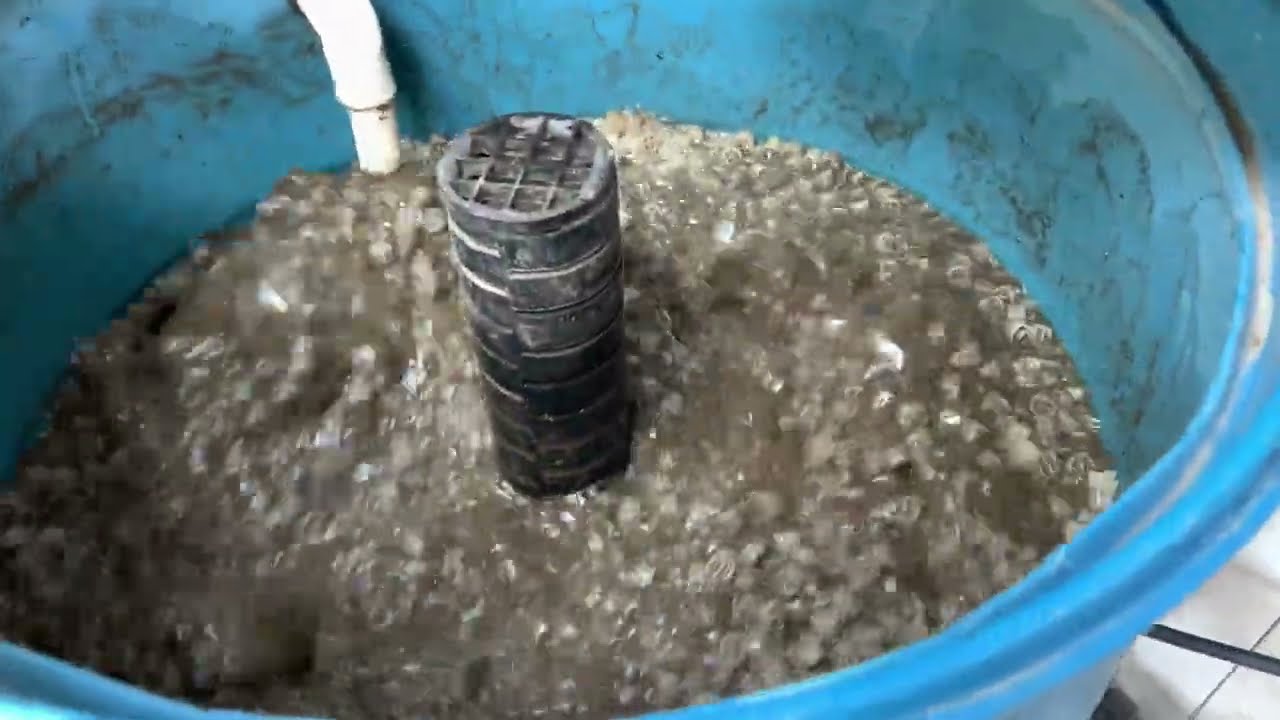 Обновление пруда с карпами кои своими руками: очистка трёхсекционного фильтра через 4 недели