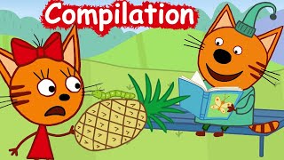 La Famille Chat Compilation Des Épisodes Dessins Animés Pour Enfants