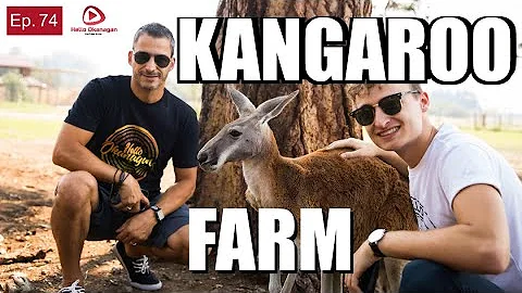 Besök på Kangaroo Creek Farm: Hello Okanagan
