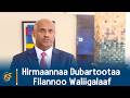 Hirmaannaa Dubartootaa Filannoo Waliigalaaf