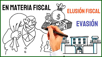 ¿Cuál es la evasión fiscal más común?