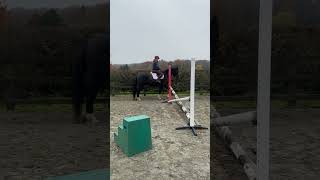 Jack - flatwork