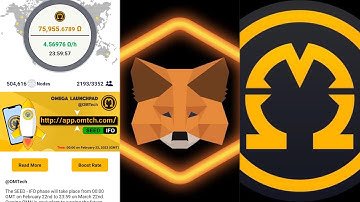 How to Connect Omega Network With MetaMask (