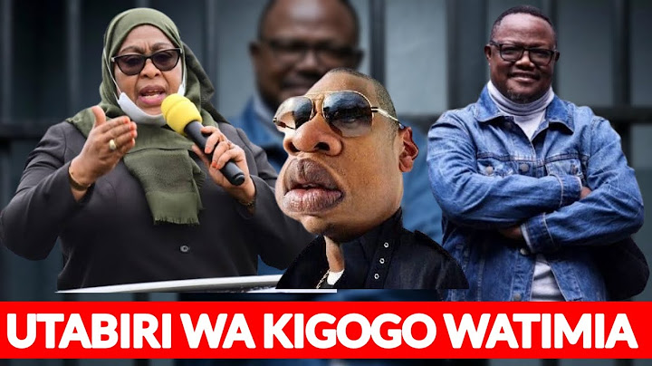 KIGOGO ATABIRI MAZITO BALAA KUHUSU TUNDU LISSU NA RAISI SAMIA/ KUASI KWA TUNDU LISSU