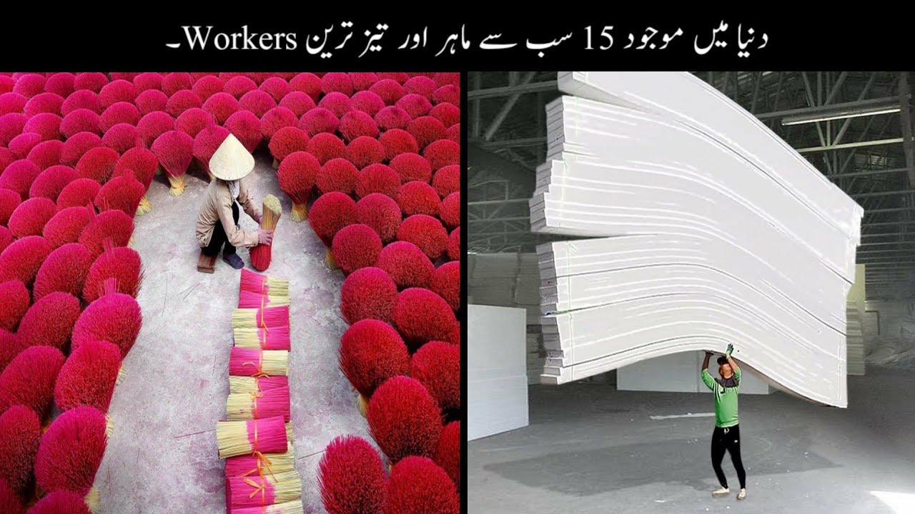 15 Fastest Workers In The World | Haider Tv