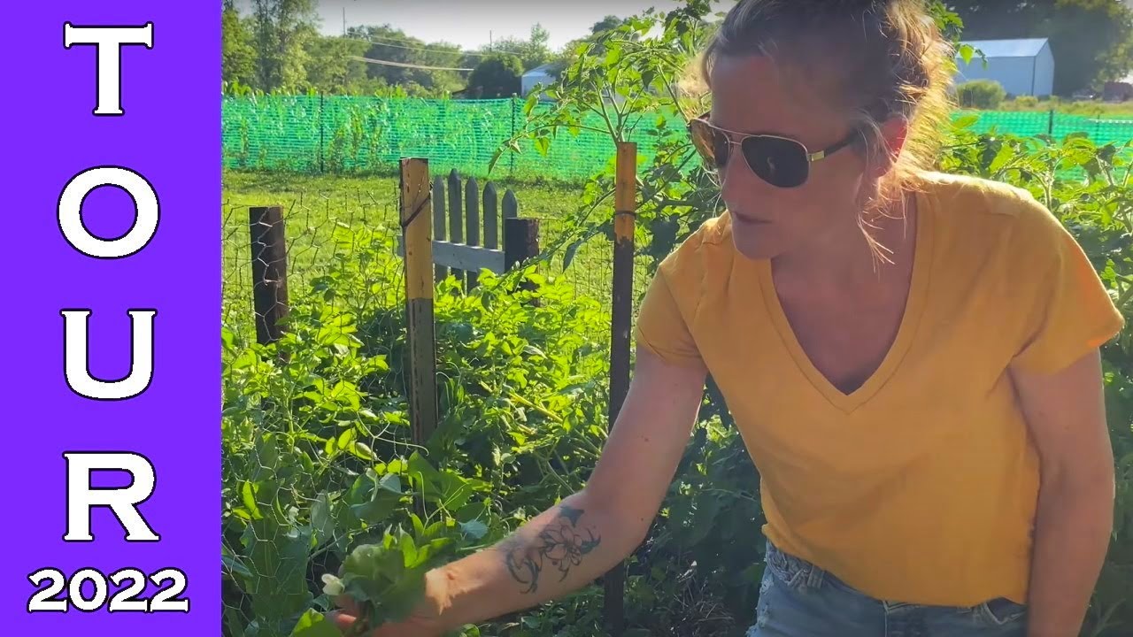 EXPLOSION! Garden Tour 🥕 Harvest | July 🌻 2022 - YouTube