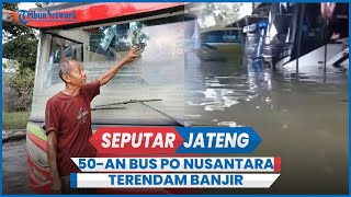 Penampakan 50-an Bus PO Nusantara Terendam Banjir Pantura Demak Selama Seminggu
