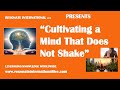“Cultivating a Mind That Does Not Shake”
