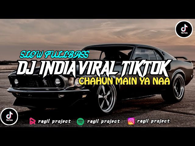 VIRAL TIK TOK || DJ INDIA REMIX VIRAL 2023 || DJ CHAHU MAIN YA NAA class=