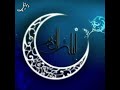 هو یا علی مدد