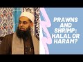 Q&A: Prawns and Shrimp: Halal or Haram? Answered by Mufti Abdur Rahman ibn Yusuf