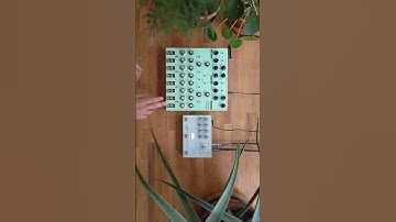 #shortsfeed #lyra8 #somalaboratory #noise #drone #synth #microcosmpedal #hologrammicrocosm