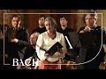 Bach - Cantata Wir danken dir... BWV 29 - Van Veldhoven | Netherlands Bach Society