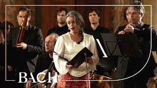 Bach  Cantata Wir danken dir... BWV 29  Van Veldhoven | Netherlands Bach Society