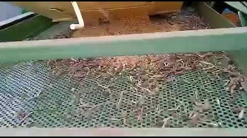 Seed Grader And Cleaner Tractor operated and electronic🚜🚜