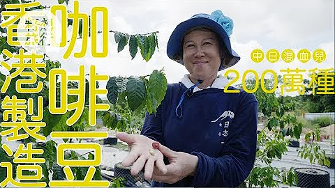 投資220萬種made in hk咖啡豆 : 我要回報香港  我好鍾意香港  (果籽 Appledaily) - 天天要聞