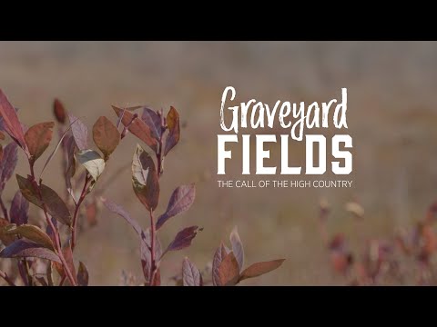Graveyard Fields Documentary